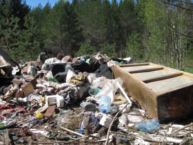 Куда ни ступишь в лесу – везде мусор