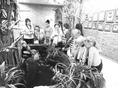 Усольские школьники с интересом наблюдали за насекомыми и рептилиями. фото предоставлено автором. «усольская газета»