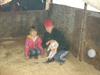 Телушка – полушка, да рубль перевоз