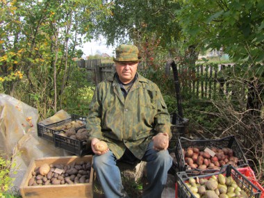 Вкусная, полезная, сытная она. Отвари картошечку – вот это еда!